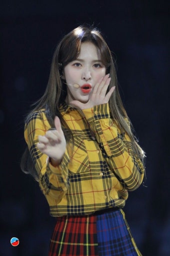 Pin de QPac en 레드벨벳 Red Velvet | Colores, Festivales, Wendy son