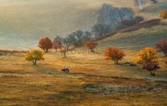 유화 가을 농장 자연 경치 가을 그림 컬러 스타일 황색 빨간색 트랙터 농민 아침 농업 노력 환경 기분 가을 맛 잔디 예쁘다 간단한 환상 명소 여행... 
