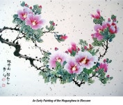 The Meaning of the Mugunghwa, South Korea’s National Flower | 예쁜 꽃 그림, 그림, 그린 꽃