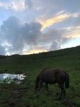 #금악오름 #geumoreum #금오름 #jeju #제주도 #travel #여행 #korea #traveltiktok | TikTok in 2024 | Places, Objects