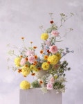 꽃 #대구플라워레슨 #구미플라워레슨 #포항플라워레슨... 화예디자인 #style #interiordesign #nofloralfoam #aullingatelier... 