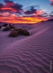Deserts에 관한 19개의 최상의 Pinterest 이미지 | 아름다운 장소, Paisajes 및 여행지 Deserts