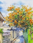 Watercolor Painting of an Orange Tree | 여행 스케치북, 색연필 예술, 도시 풍경 드로잉