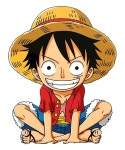 Monkey D. Luffy. 몽키 D 루피 Monkey D. Luffy. 몽키 D 루피 en 2024