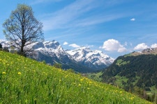 풍경 산 알프스 산맥 - Pixabay의 무료 사진