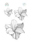 Lillium | 스케치