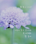 #풀꽃3 #나태주