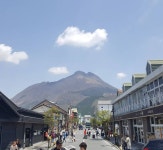 고창복분자 _ 해풍복분자 _ 복분자에 있는 고창흙쟁이님의 핀