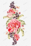 멋진 수채화 결혼식 꽃 벡터 재료 Beautiful Watercolor Wedding Flowers Vector Material