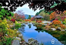 가평 펜션-아침고요수목원 펜션 및 근처 캠핑장 위치 | 풍경 사진, 사진, 한국