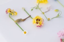 HELLO SPRING! 현대백화점X플로리스트 김영신 플라워 아트 워크 - 2022 | 플로리스트, 아트