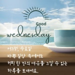 수요일 아침 인사말 문구 이미지 모음