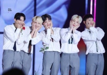 #에이스 #ACE