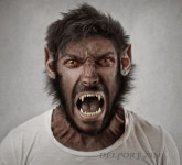 Pin on 그림책만들기