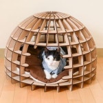 Sem6에 있는 Jihoon Mingyu님의 핀 | 고양이 호텔, 애견용품, 애견