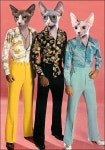 WTF에 관한 17개의 최상의 Pinterest 이미지 | 이상한, 드레스 룸 및 옷 WTF