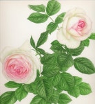 보태니컬 아트에 있는 BongAe Song님의 핀 | 꽃그림, 수채화