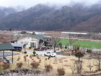 My  garden  나의정원에 있는 ok hwa jang님의 핀