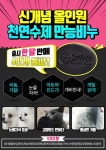 울지마마이펫 놀다가게 입점 POP 디자인 | 디자인