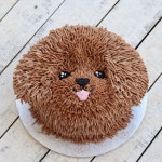 Dog cake | 디저트