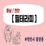 충남건전마사지 필테라피 | 마사지, 천