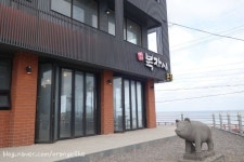 겨울 제주여행 흑돼지는 성산 복자씨 연탄구이가 짱 - 2022