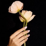 제이에이치네일(J·H NAIL) | JH E님이 Nail에 올린 이미지
