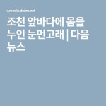 조천 앞바다에 몸을 누인 눈먼고래 | 다음 뉴스 | 작은 집, 집, 고래