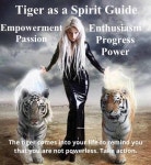 Zen에 관한 103개의 최상의 Pinterest 이미지 | 수정, 정신적 및 Healing crystals Zen