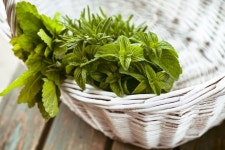 냉장고에 보관하면 안되는 음식 8가지 | Herbs, Buy herbs, Beautiful food