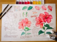 Ghim của Jieun Jeon trên 수채화예시 trong 2025