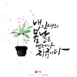 #48 - 마음까지 환해지는 좋은글귀로 작업한 캘리그라피 작품 | 작은 그림, 칼리그래피 아트, 잎 디자인