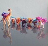 cadeautips에 관한 16개의 최상의 Pinterest 이미지 | 생일, 선물 아이디어 및 과일 cadeautips