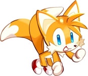 ✧.゜・．TAILS COOKIE (테일즈 쿠키)