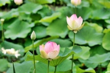 전통자수&현대자수 전시 여주 여성생활사박물관 수미전 | 아름다운