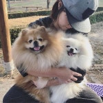 엄마 품에서 활짝 웃는 토리푸 보시며 원기충전 하시어요~! _ 실은.... 지나가는 아저씨한테 엄청 짖다가 현행범으로 붙잡혀온 사진인데...... 