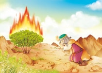 모세 picok - Google Search in 2021 | Bible illustrations, Illustration, Bible