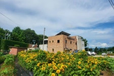 “해바라기와 연꽃이 가득한 이 마을로 놀러 가요!”… 당일치기 여행으로 딱 좋은 포천시 여행지 “해바라기와 연꽃이 가득한 이... 