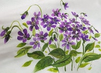 제비꽃/보라빛/야생화/대전천아트/꽃그리기/페브릭아트/야생화그리기/대전가오풀잎문화센터 010-2242-4057 : 네이버 블로그 in... 