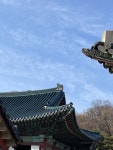 창덕궁의 청기와