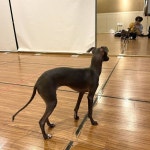 9,747 Likes, 122 Comments - OnlyOneOf(온리원오브) (@onlyoneofofficial) on Instagram: “[#나인] 쫑순 어디봐아아~😆” - 2020