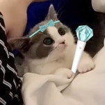 Pin page Pin en 태민 | Meme del dia, Memes, Kpop