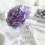 Flora에 있는 정원님의 핀