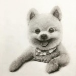 Instagram의 압구정 아트포엠님: “ 동물 #소묘 #강아지🐶 #연필그림 #개체표현#신발#운동화#예비반기초디자인#현대고#압구정고#건국대학교#기디... 