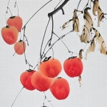 한가로운 - 홍시, persimmon, painters, painting, 문인화, 한국화, 동양화, 수묵화, 사군자, beautiful, 입시한국화, drawing... 