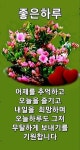 곱다스킨 | 아침 인사에 있는 Jun Bae님의 핀 | 좋은 아침 인사, 정원 가꾸기, 인생 좋은글
