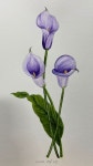 Pin page Wallpapers에 있는 핀 - 2024 | 그림, 수채화, 드로잉