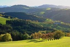 자연 풍경 언덕 국가 - Pixabay의 무료 사진 Sunshine on Green Hills and Mountains