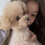 jeje - 제제 jeje - 제제 | Mascotas, Perros