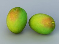 Green Mango 3d model Object files free download | 3d model, Model, Mango